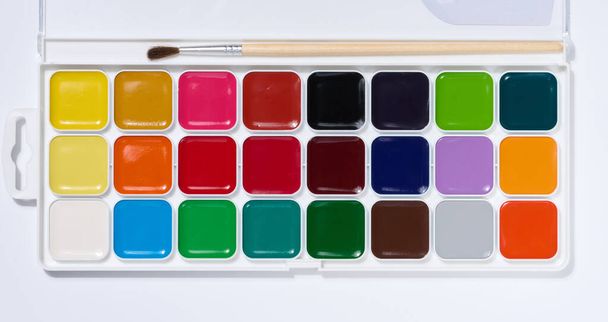 Watercolor paint palette, object for drawing and creativity, cells - Photo, Image