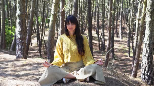 Mudras executed by a woman in the forest - Footage, Video