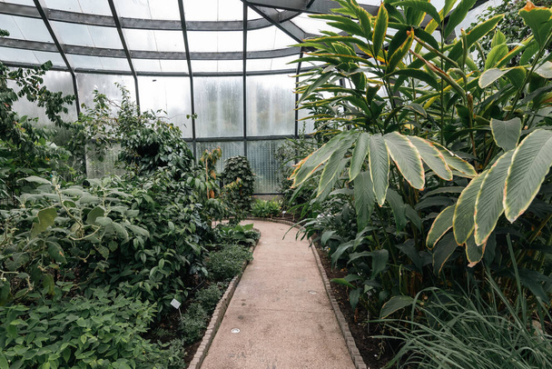 Bogot, Colombia. 11 de mayo de 2023: Interior del tropicario en el jardín botánico de la ciudad. - Foto, imagen