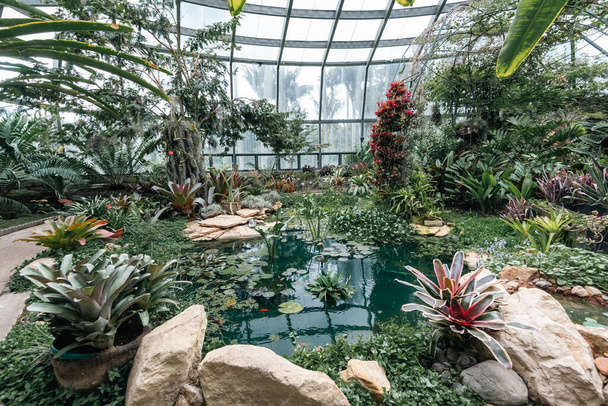 Bogot, Colombia. 11 mei 2023: Binnenkant van het tropicarium in de botanische tuin van de stad. - Foto, afbeelding