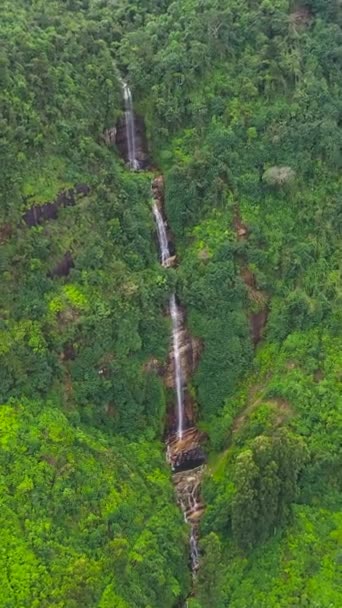 Воздушный дрон Водопада в тропических горных джунглях. Шри-Ланка. - Кадры, видео