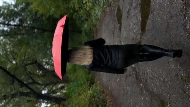 Menina de trás andando por um parque de queda com um guarda-chuva vermelho. Uma menina caminha pelo parque - Filmagem, Vídeo