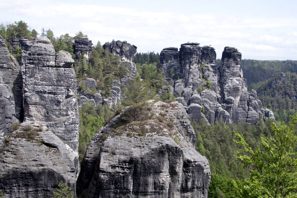 A rocky cliff peeks out from a coniferous forest in the German national park Saxon Switzerland - Photo, Image
