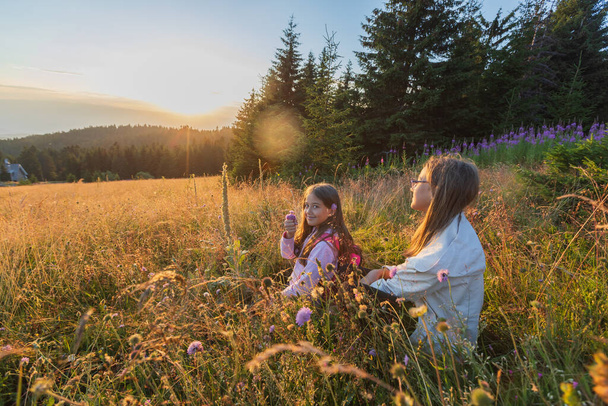 Lapset nauttivat luonnonympäristöstä niityllä auringonlaskun aikaan. - Valokuva, kuva