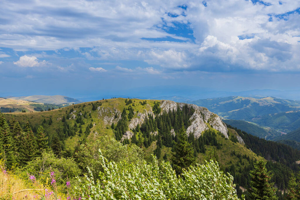 Спокійний гірський літній пейзаж, пишний ліс і блакитне небо з хмарами. - Фото, зображення