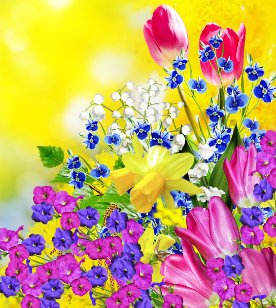 Květy růžové a žluté tulipány a narcisy - Fotografie, Obrázek
