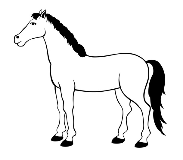 Horse - ベクター画像