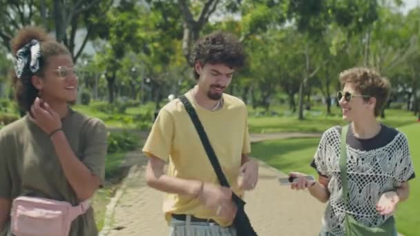 Vyötärö ylös laukaus ryhmä nuoria ystäviä hymyilee ja juttelee kävellessään yhdessä puistossa kesäpäivänä - Materiaali, video