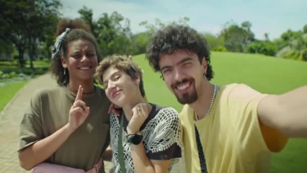 POV šťastných mladých přátel dívá na kameru, usmívá se a pózuje pro selfie při focení během procházky v parku v letní den - Záběry, video