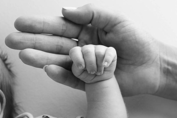 Ebeveynler yeni doğmuş bir bebeğin parmaklarını tutuyor. Bir anne ve babanın eli yeni doğmuş bir bebeğin yumruğunu tutuyor. Aile sağlığı ve sağlık hizmetleri. Siyah beyaz bir fotoğraftaki küçük parmaklar..  - Fotoğraf, Görsel