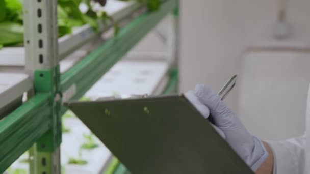 Dönthető felvétel a zöld növények minőségét vizsgáló ázsiai női laboratóriumi dolgozóról, aki beltéri dokumentumbirtokosnál jegyzetel - Felvétel, videó