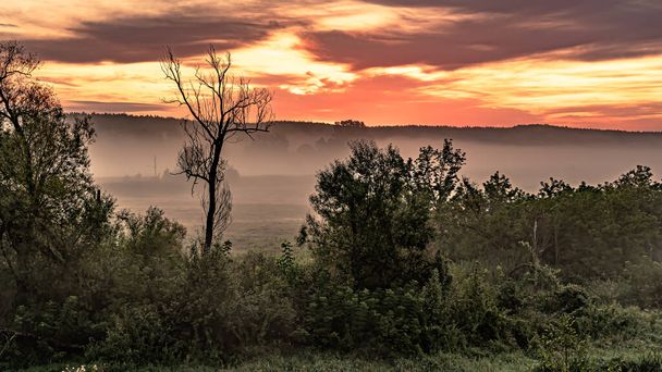 Morning fog at sunrise over the Suprasl River in Podlasie. - Photo, Image
