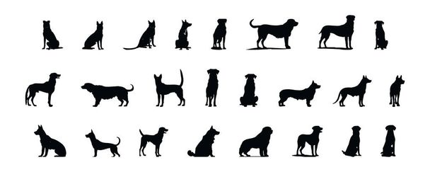 Készlet fekete sziluettek kutya elszigetelt fehér háttér, vektor illusztráció - Vektor, kép