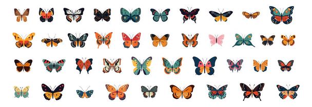 Conjunto de mariposas dibujos animados planos aislados sobre fondo blanco. Ilustración aislada vectorial - Vector, Imagen