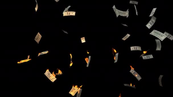 Vele honderden dollarbiljetten vliegen en verlichten op een transparante achtergrond. - Video