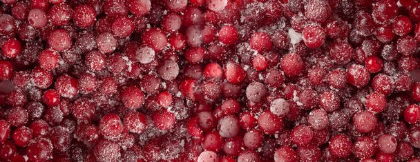 Mrożone Lingonberry tekstury w tle, Mrożone Cowberry wzór, Snow Cranberry Mockup, Red Viburnum Berries Banner, Mrożone Lingonberry tle, Kopiuj miejsca na tekst - Zdjęcie, obraz