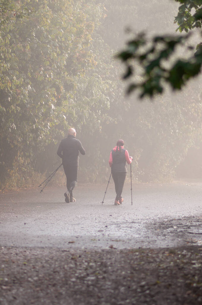 Dos excursionistas con bastones caminan por el bosque en otoño en espesa niebla. - Foto, Imagen