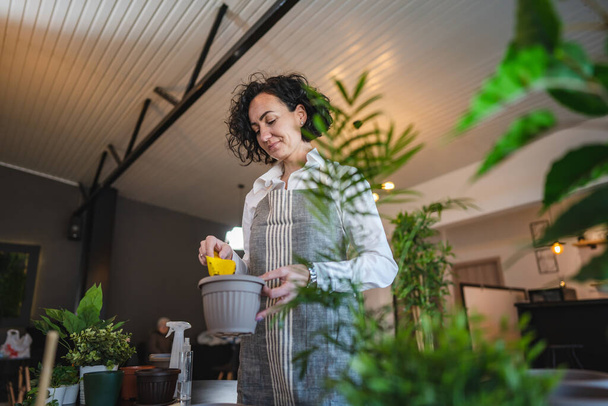 Одна зріла жінка кавказького садівника або флориста піклується про вирощування домашніх квітів рослин вдома концепція садівництва копіювання простору
 - Фото, зображення