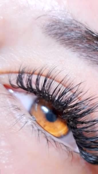 Nahaufnahme des Auges mit Wimpernverlängerungen im Schönheitssalon Makroansicht. Hochwertiges 4k Filmmaterial - Filmmaterial, Video
