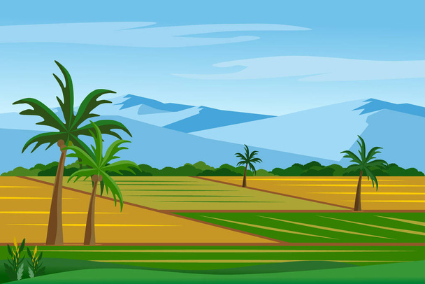 Piękny ryż i pola ryżowe krajobraz z góry wektor ilustracji. Widok spokojnej wioski. - Wektor, obraz