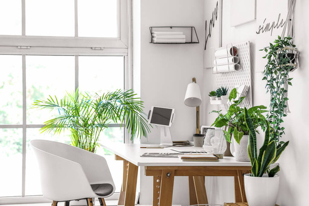 Современное рабочее место с пегбордом и комнатными плантациями в светлом офисе - Фото, изображение
