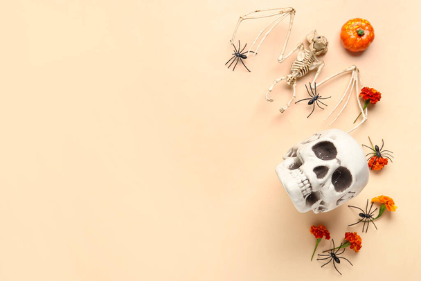 Calavera humana con cráneo humano, esqueleto de murciélago, flores de caléndula y arañas sobre fondo beige - Foto, imagen