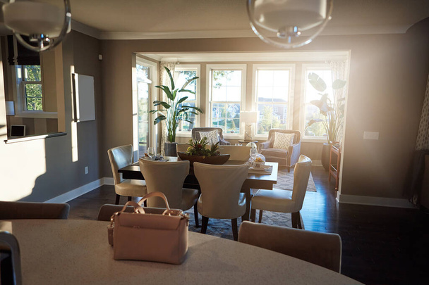 Home interiér, elegantní obývací pokoj a moderní dům s židlemi, rostlinami a kobercem v prostoru. Čistý, minimální a luxusní nábytek v organizovaném otevřeném salonku v útulném, stylovém a neutrálním bytě - Fotografie, Obrázek