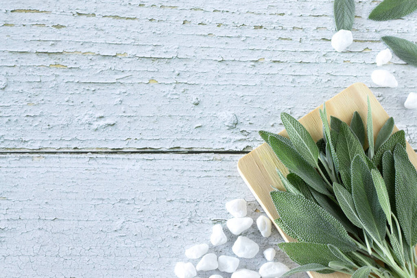 Herbe de sauge verte (Salvia officinalis) avec des feuilles fraîches et des cailloux blancs sur une table en bois. Vue du dessus, espace de copie. Épice aromatique biologique non cuite. - Photo, image