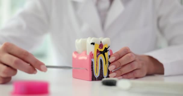 Dişçi, birden fazla dişi olan plastik bir diş modeline işaret ediyor. Doktor, tıbbi uzmanlarla ağız hastalıklarının yıkıcı etkileri hakkında konuşuyor. - Video, Çekim