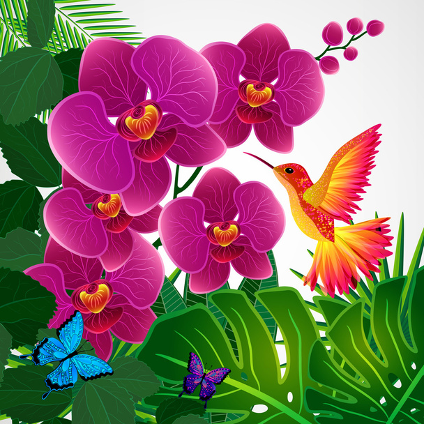 Floral design background. Orchid flowers with bird, butterflies. - Vector, afbeelding