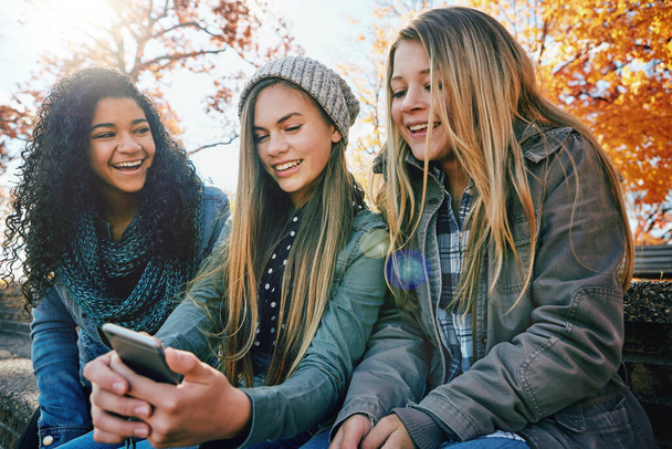 Phone, meme or girl friends in park with smile together for holiday vacation outdoors on social media. Friendship, gossip or happy gen z people in nature talking, speaking or laughing at a funny joke. - Photo, Image