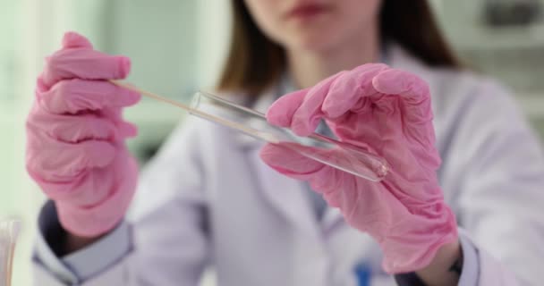 Γιατρός κρατά δοκιμαστικό σωλήνα και βαμβάκι μάκτρο στα χέρια με ιατρικά γάντια στο εργαστήριο. Dna εμπειρογνωμοσύνη γενετική μηχανική - Πλάνα, βίντεο