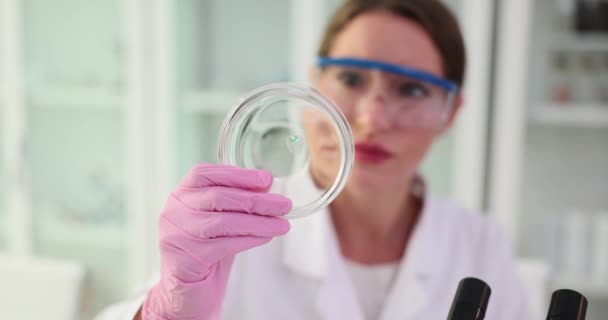 Вчений з мікроскопом дивиться на склянку Петрі зі скиданням біологічного тесту в медичній лабораторії. дослідження біохімії та фармацевтичної медицини - Кадри, відео