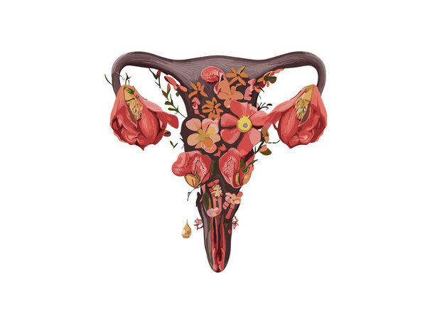 Kobieta Womb ozdobiona kwiatami, Botaniczny akwarela Pochwy Kobieta, Feministyczna koncepcja wektor ilustracji Clipart - Wektor, obraz