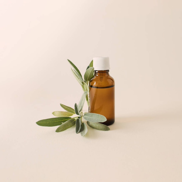 Bottle of essential oil with fresh sage twig on a white background. Creative concept of healthy relaxation - Photo, Image