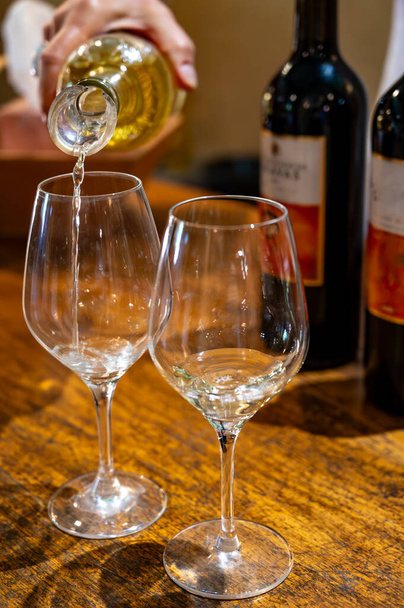Дегустація солодкого білого десерту вин Саутнерів у старовинному винограднику на виноградниках Саутнерів у селі Барсак, що постраждали від благородної гнилі Ботрітіс, Бордо, Франція - Фото, зображення