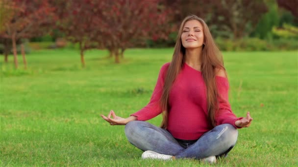Schwangere meditiert sitzend auf dem Rasen des Stadtparks. eine Frau, die auf ein Kind wartet. das Konzept der Zärtlichkeit Schwangerschaft und Mutterschaft. Frau läuft auf dem Stadtpark, überquellend vor Gefühlen von - Filmmaterial, Video