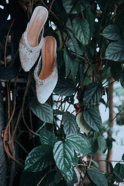Primer plano de un par de zapatos de boda blancos en un árbol - Foto, imagen