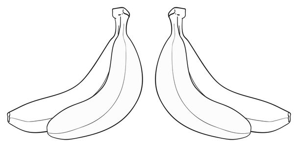 Ravissant jardin - Bunch de deux bananes
 - Vecteur, image
