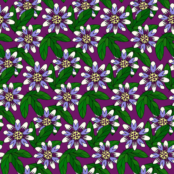 Бесшовный узор с нарисованными вручную каракулями страсть цветок и листья на фиолетовом фоне. Векторная иллюстрация - Вектор,изображение