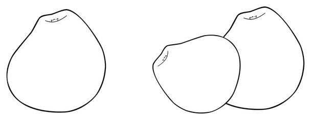Nádherná zahrada - jedna a dva hruškovitého tvaru jablka - Vektor, obrázek