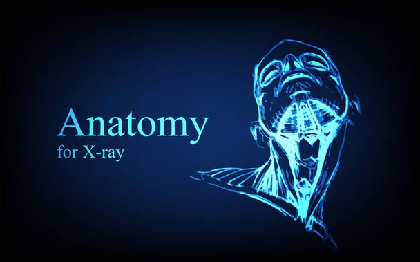 Anatomia humana à frente na radiografia. Anatomia conexão do corpo humano, médico, educacional ou ciência banner em fundo azul futurista, Vector mão desenhada ilustração - Vetor, Imagem