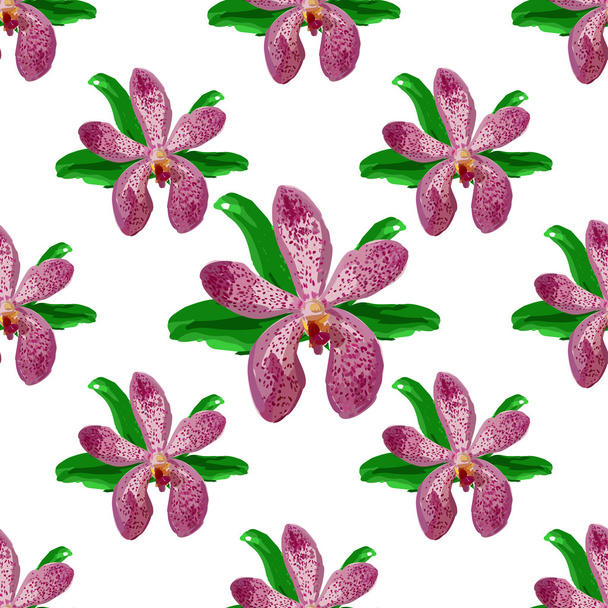 Floral orchid  flower pattern vector. - Vector, Image
