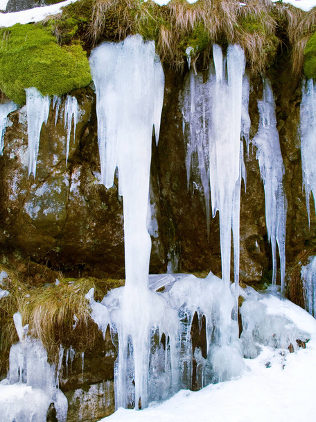 Zmrzliny, skalní stěna a mech na útesu v přírodě, vodopád a horská ekologie v zimě. Zmrazený led visící na kameni v krajině, křišťálu a přírodním sněhovém prostředí v Evropě. - Fotografie, Obrázek