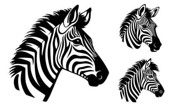 Zebra cabeça, vetor preto e branco, silhueta formas ilustração - Vetor, Imagem