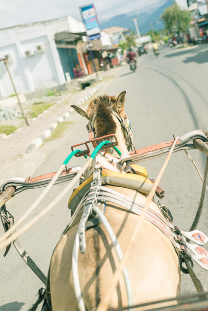 Asian street viewed from horse rickshaw - Photo, Image