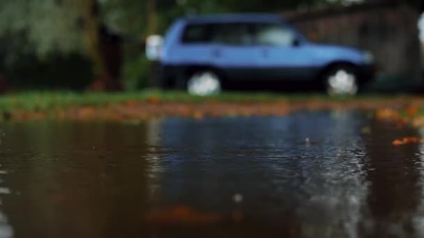 A puddle with water. A strong gust of wind makes waves on the water - Footage, Video