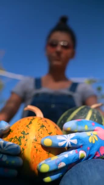 Markette, genç bir dişi çiftçi satılık balkabaklarının çeşitlerini sergiliyor. Yüksek kalite 4k görüntü - Video, Çekim