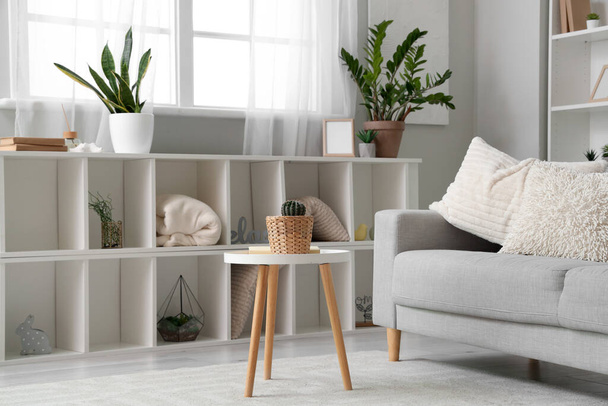 Interiér obývacího pokoje s šedou pohovkou a pokojovými rostlinami - Fotografie, Obrázek