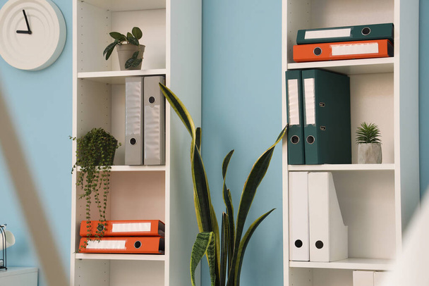 Unidades de estanterías con carpetas de documentos y plantas en la oficina - Foto, Imagen